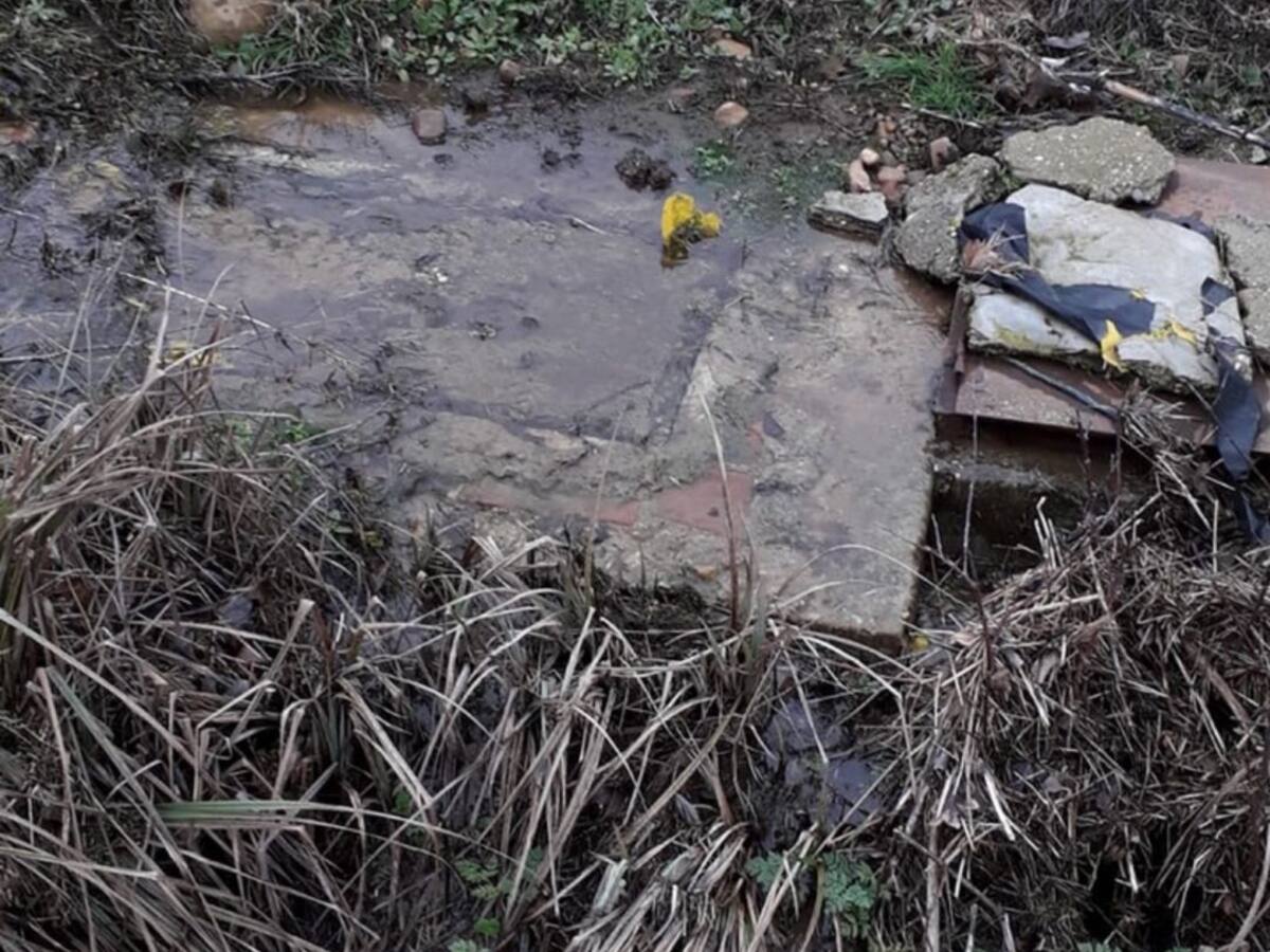 Denuncian la filtración de aguas sucias de unas instalaciones porcinas en Membrillar