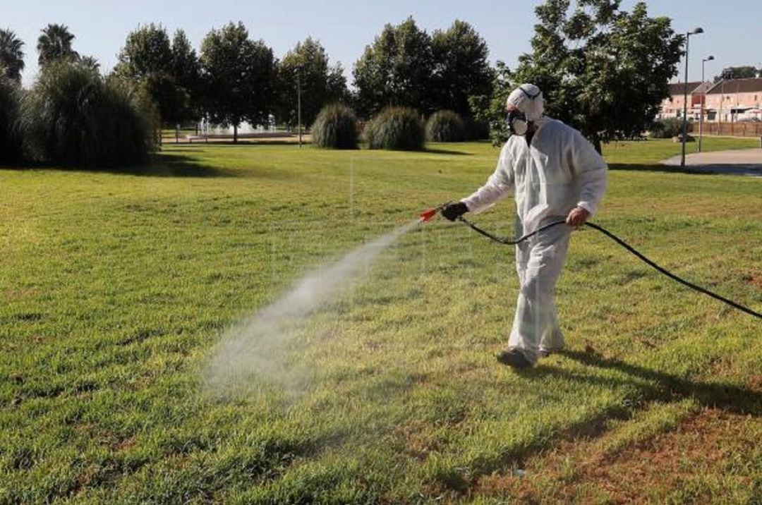 Un operario fumiga unos jardines en Coria del Río