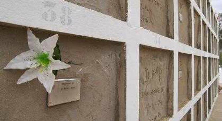 Nichos de inmigrantes sin identificar en el cementerio de Fuerteventura.