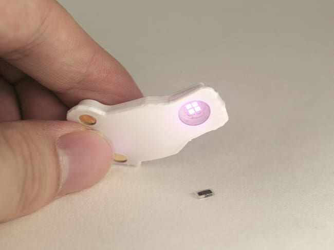 Cuando el dispositivo portátil (izquierda) detecta un latido cardíaco irregular, emite luz para activar el marcapasos. Estos pulsos cortos, que penetran a través de la piel, el esternón y los músculos del paciente, controlan el ritmo.
Crédito
John A. Rogers/Universidad Northwestern