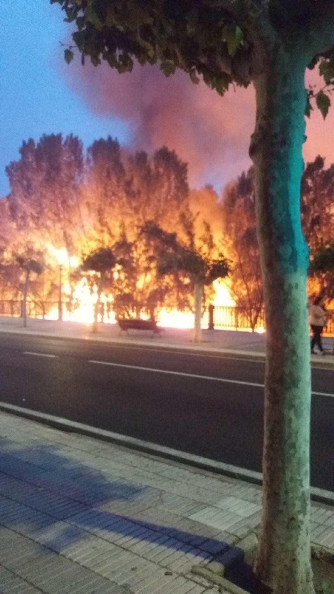 Incendio de pelusas este jueves en el Río Carrión a su paso por Palencia