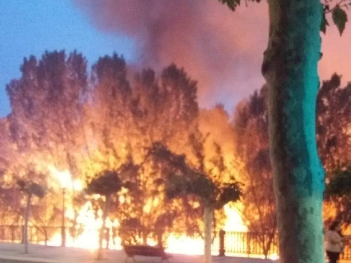 Vuelve un clásico a Palencia: los incendios de pelusas