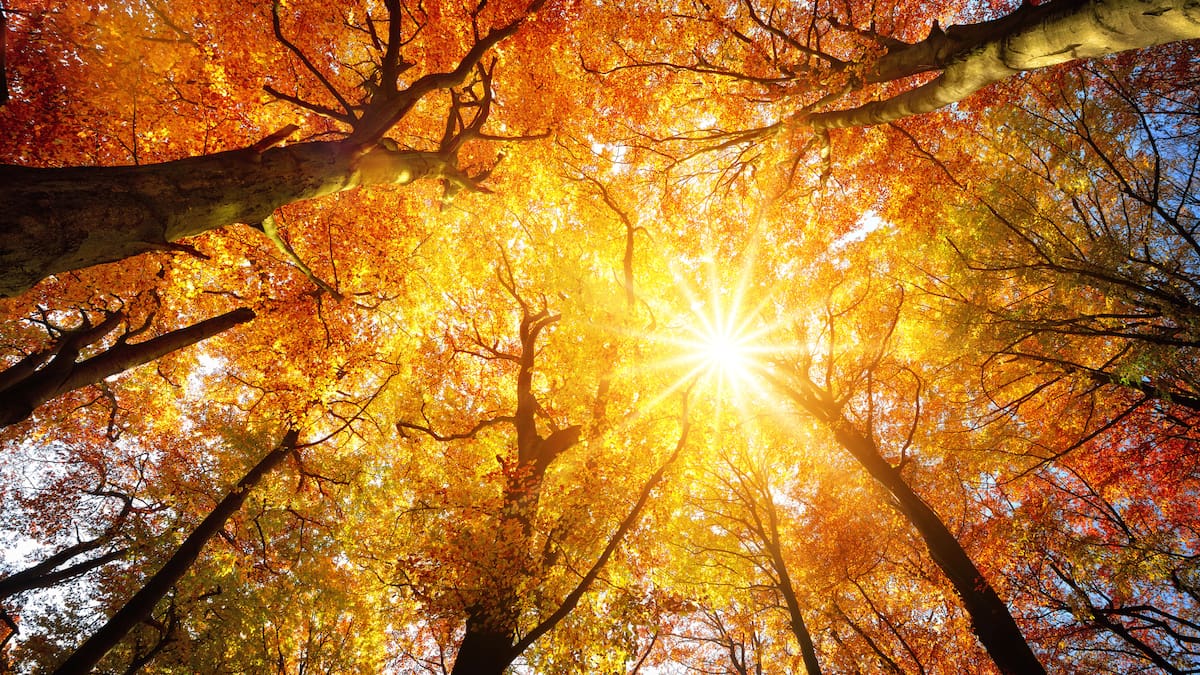 Ibiza y Formentera despiden el tercer otoño más seco de los últimos 70 años