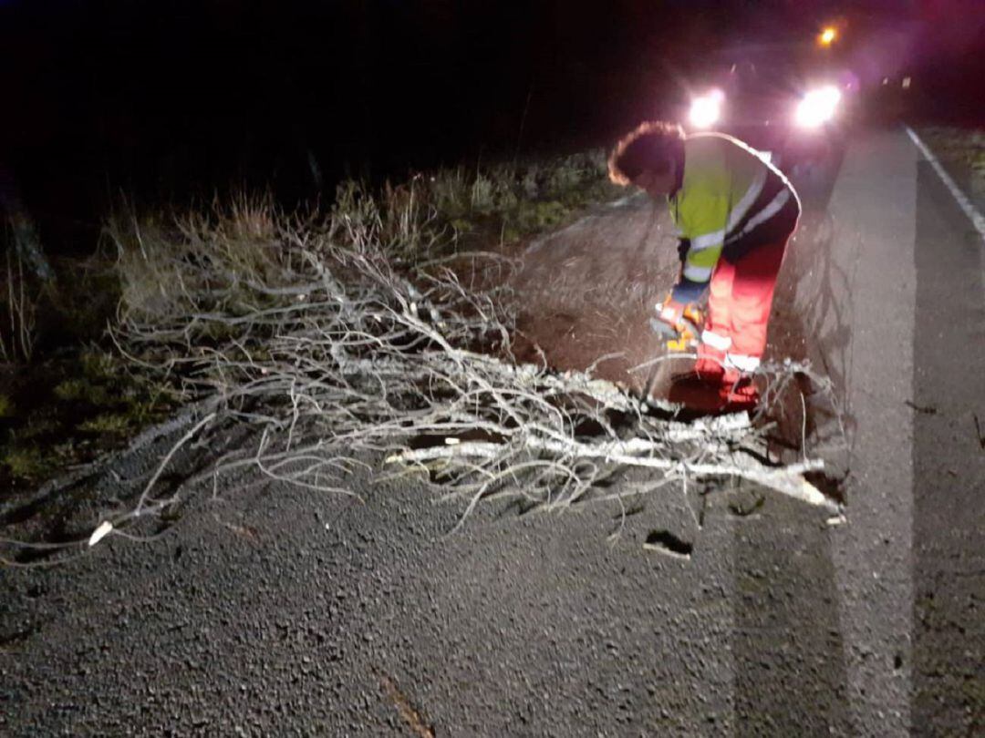 Operarios de la Diputación retiran árboles y ramas caídas durante el anterior episodio de fuertes rachas de viento 
