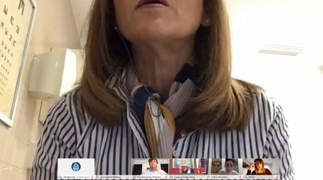 La concejala de Vox en su primera intervención en el pleno telemático hasta que la han avisado para que bajara la cámara