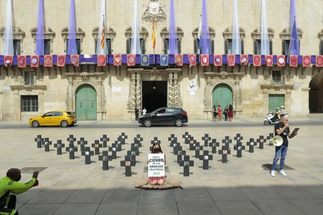 Acto protesta contra las granjas peleteras