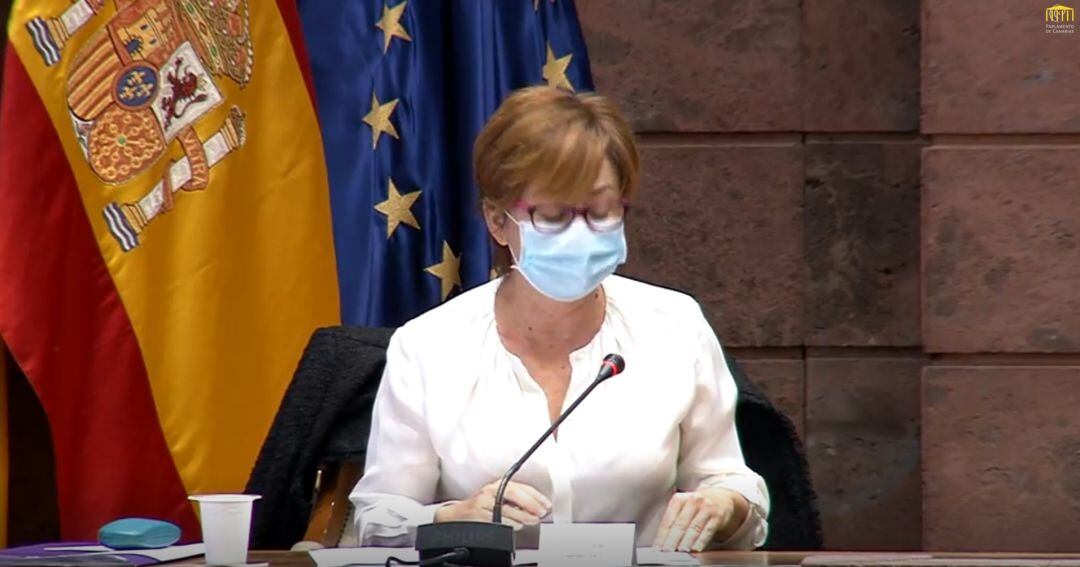 La rectora de la ULL en la comisión parlamentaria.