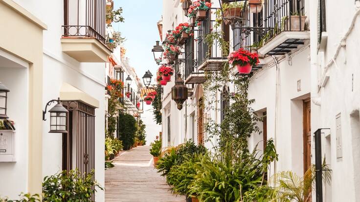 Victoria Morales, coordinadora IU