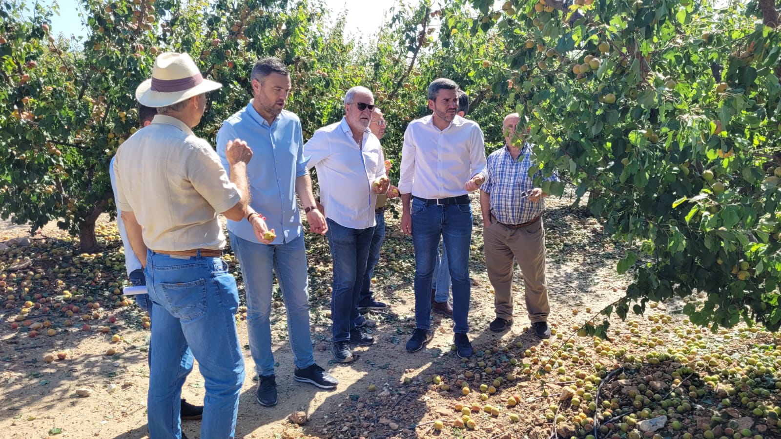 El consejero de Agricultura en funciones ha visitaod la zona afectada por la tormenta con granizo de ayer