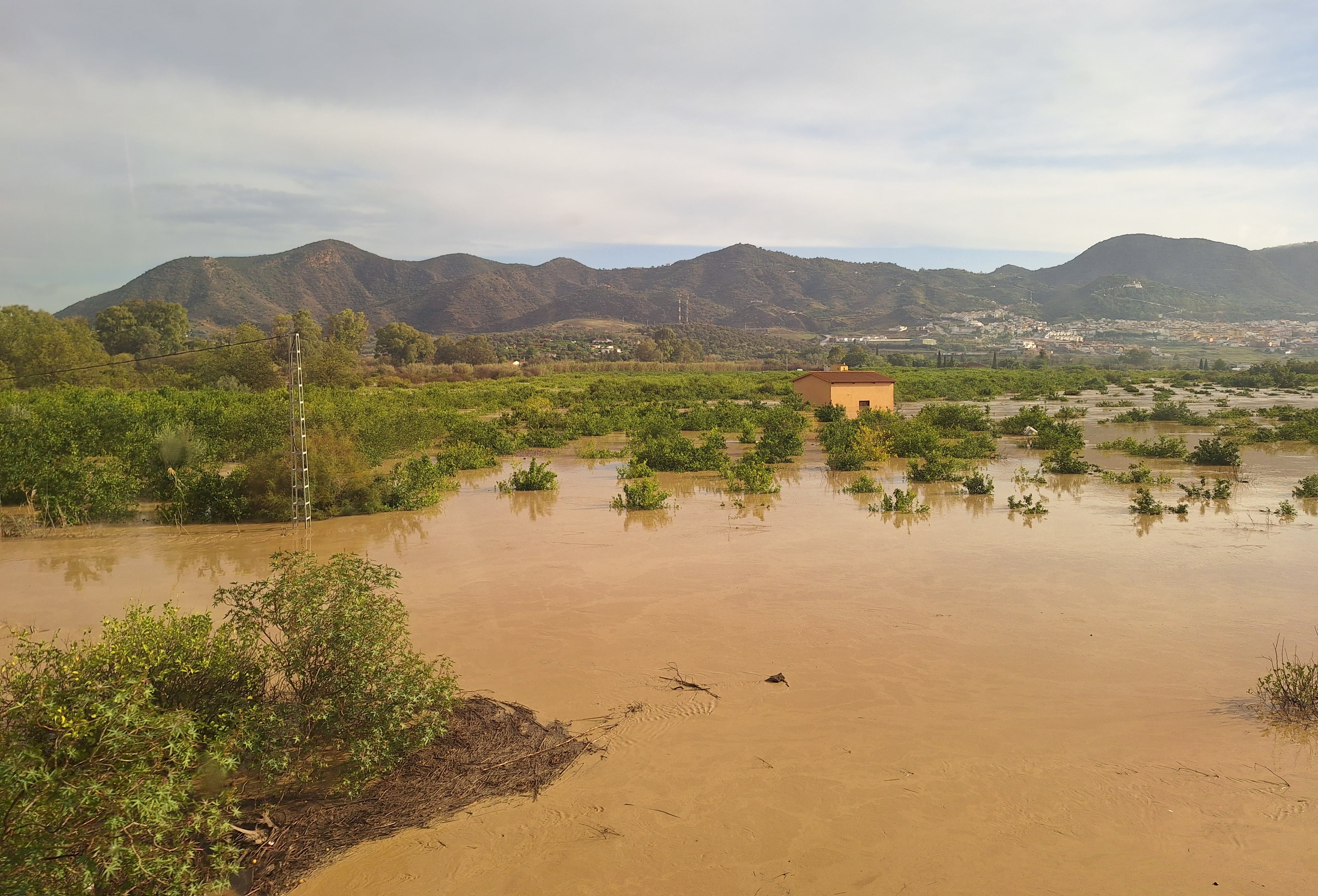 Huerta de Pizarra(29-10-2024)