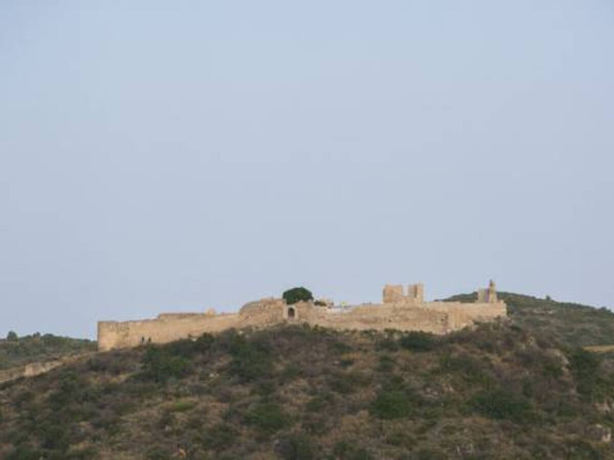 Gandia recibe una ayuda de 25.000 euros para redactar el catálogo de Bienes y Espacios Protegidos