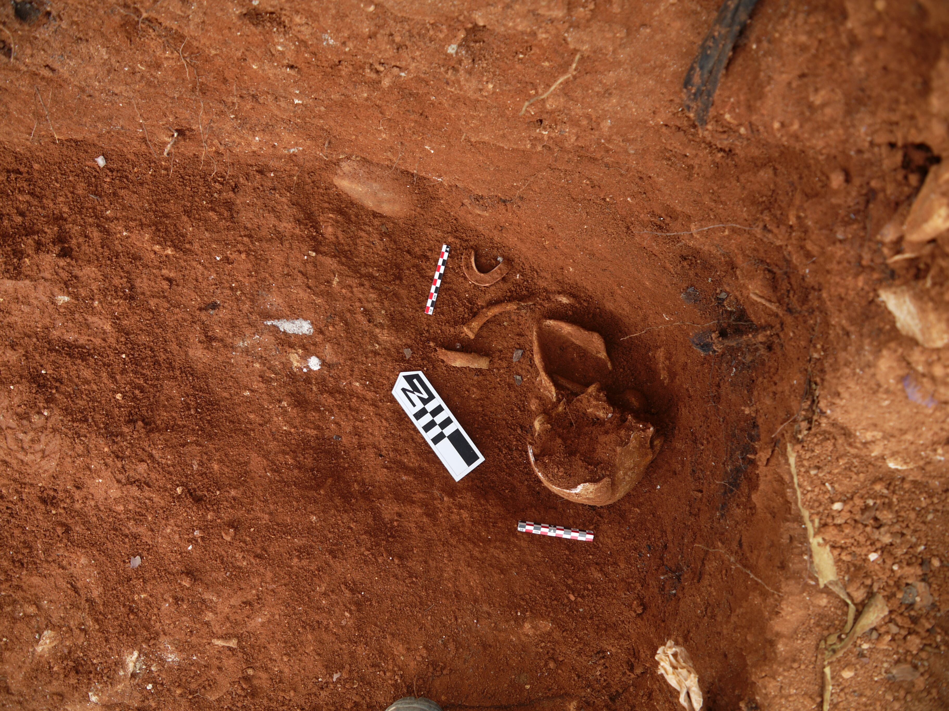 Imagen de los restos hallados