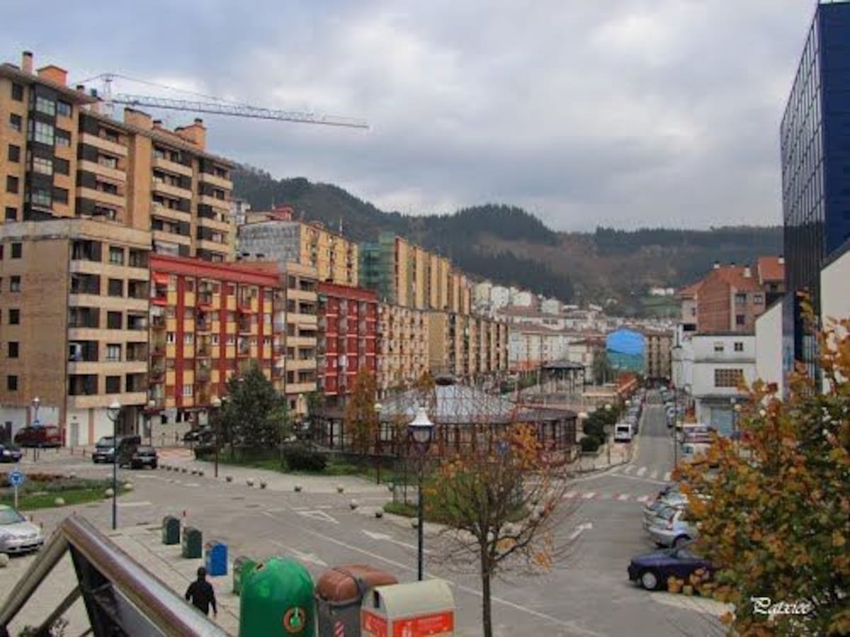 Arrestado por acuchillar e intentar matar a su hermano en Ermua