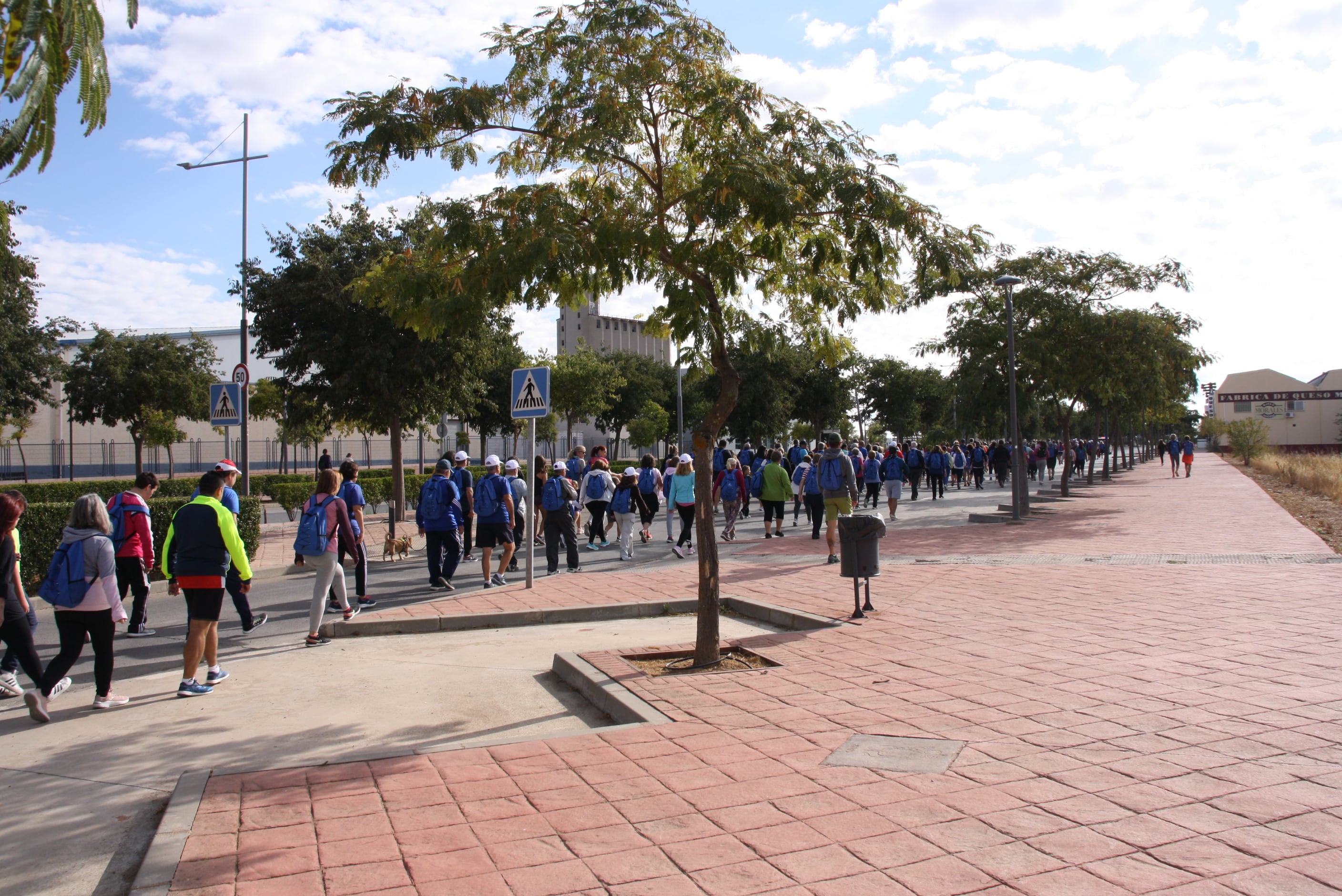 Participantes en la Marcha &quot;7000 pasos por&quot; en Tarancón