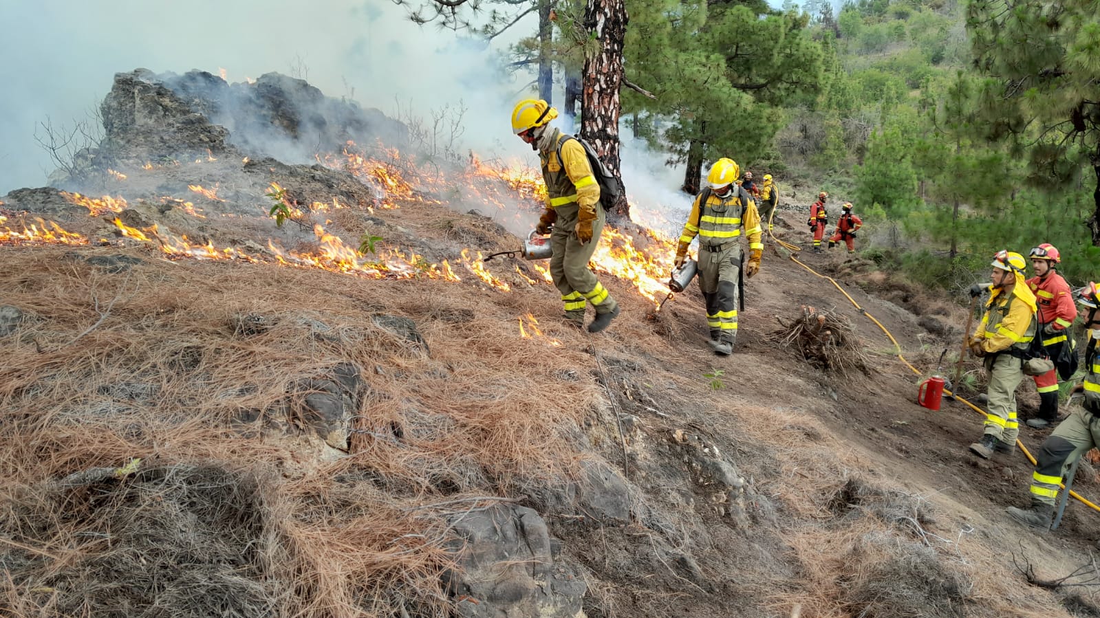 La Brigada de Refuerzo en Incendios Forestales se desplazó a Casaio, donde el fuego quemó 3 hectáreas