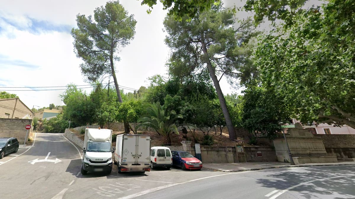 Declaraciones de Susanna Gomar