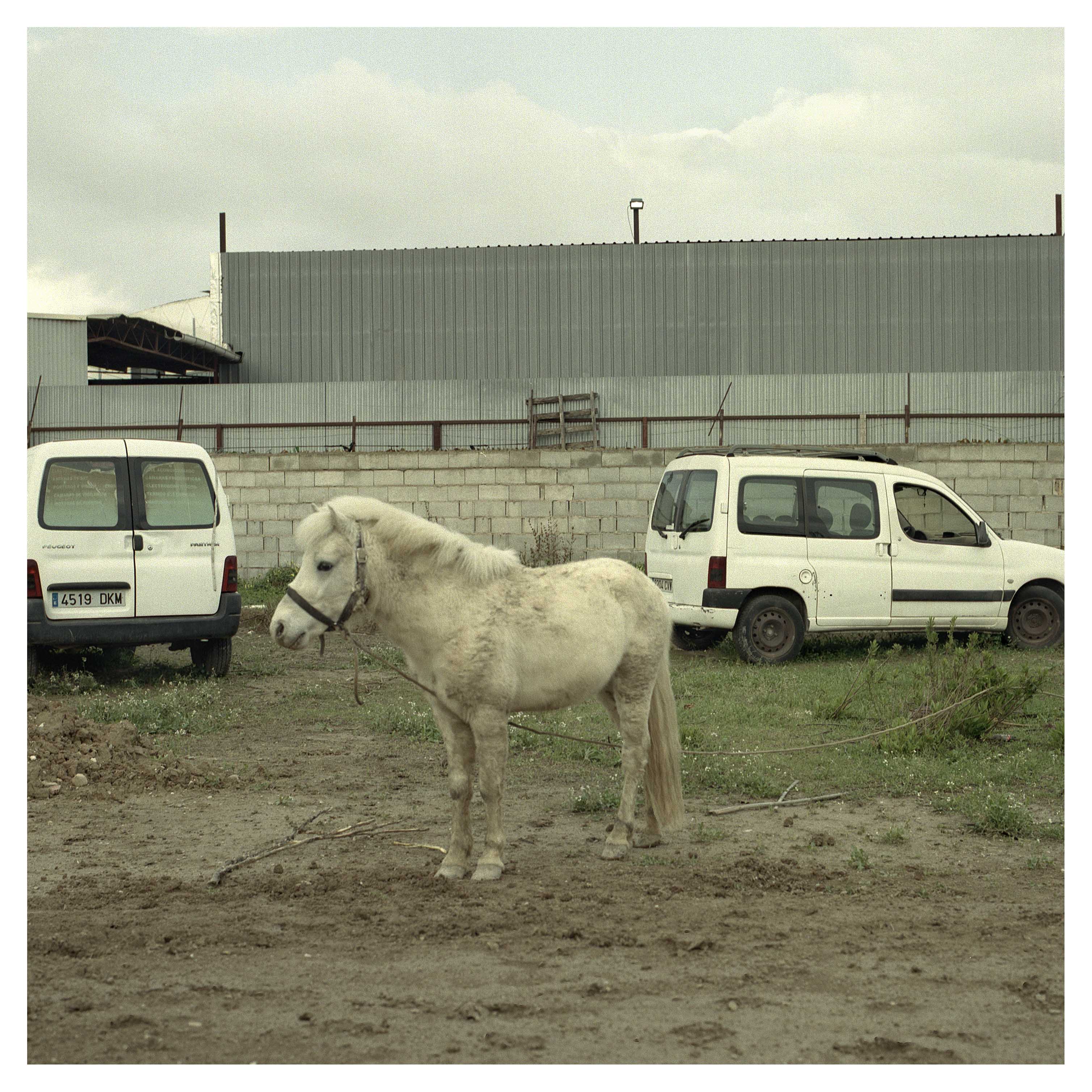 Huerta Mágica (6) / Manuel Zamora