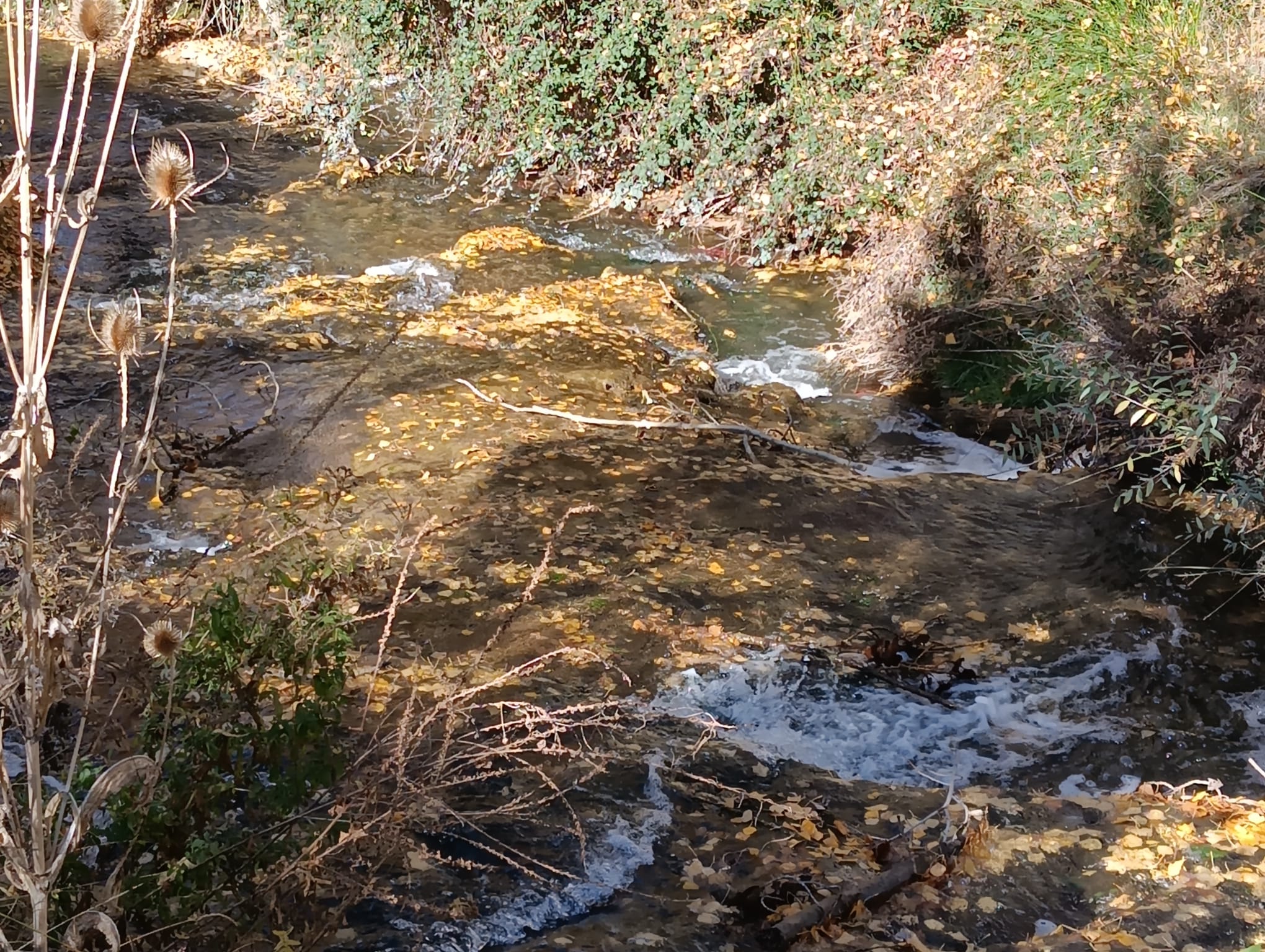 Río Bañuelos a su paso por el casco urbano de Aranda de Duero