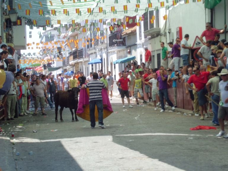 Encierros de El Viso