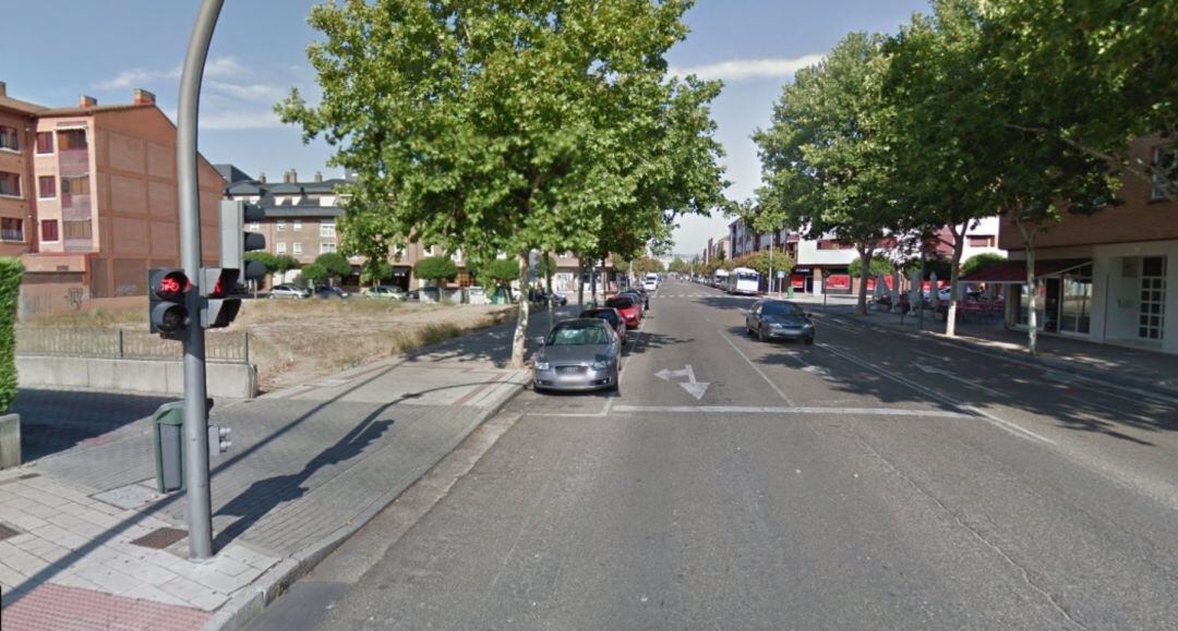 El atropello ha tenido lugar en la calle Miguel Delibes