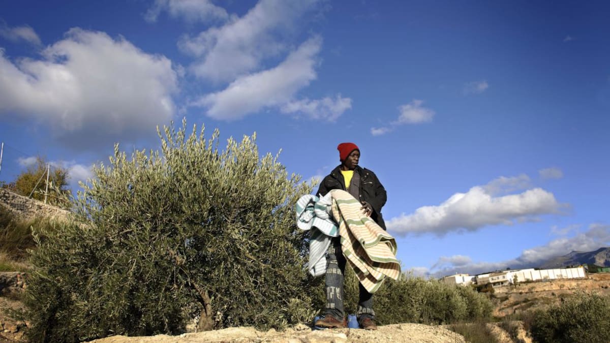 Entrevista con Eva Arévalo, técnica de Cruz Roja