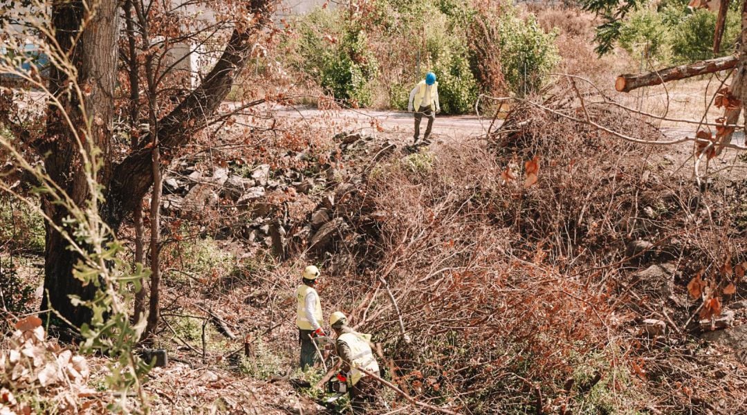 Comienzan los trabajos de limpieza del Arroyo Espino en Colmenar Viejo