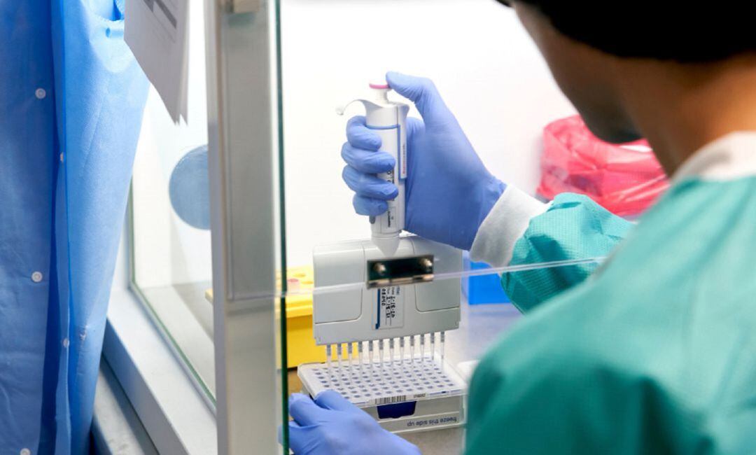 Una sanitaria con análisis del Covid-19.