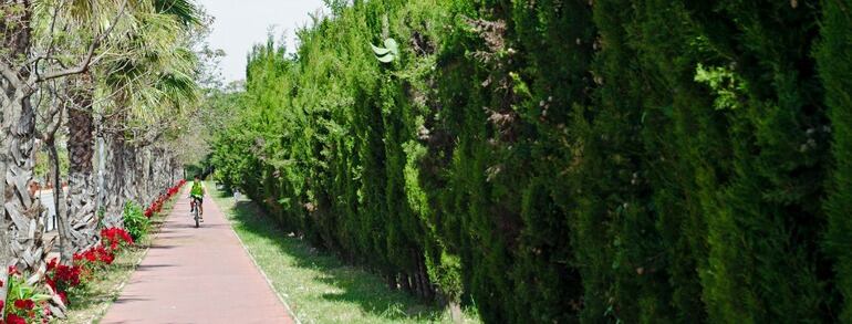 Un carril-bici en Alhaurín de la Torre