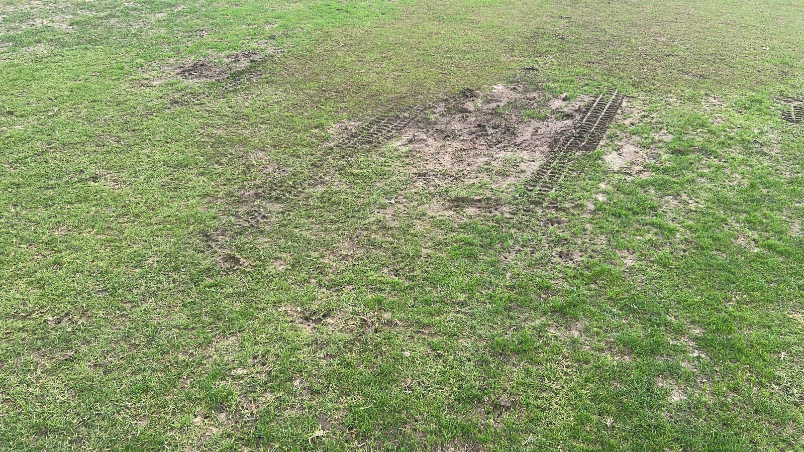 Estado que presenta el césped del Pedro Garrido