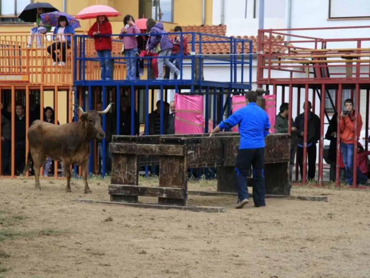 El PP pedirá en el pleno el apoyo als Bous al Carrer