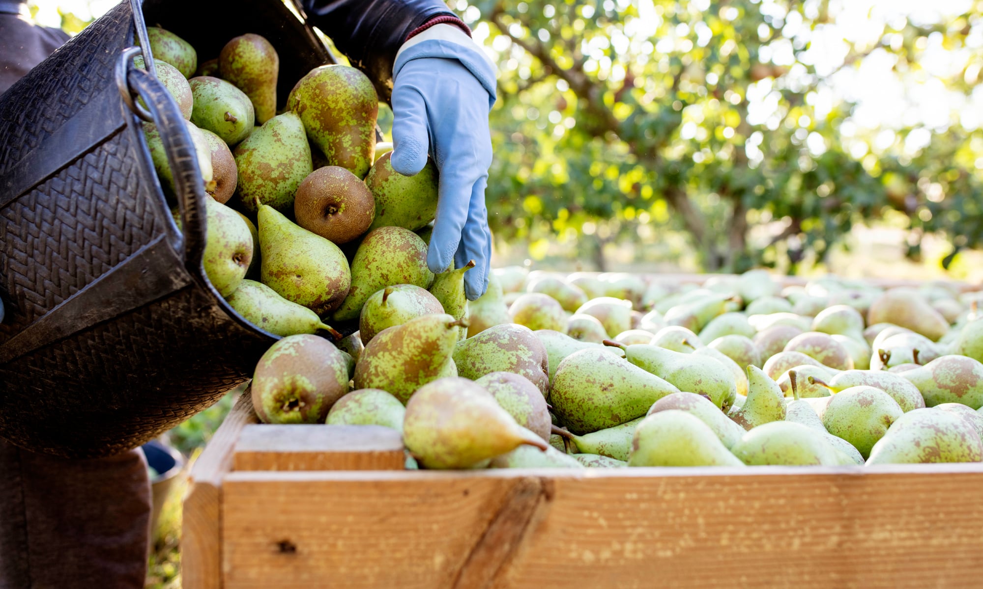 Las compras de Mercadona a proveedores riojanos superaron los 685 millones de euros en 2025