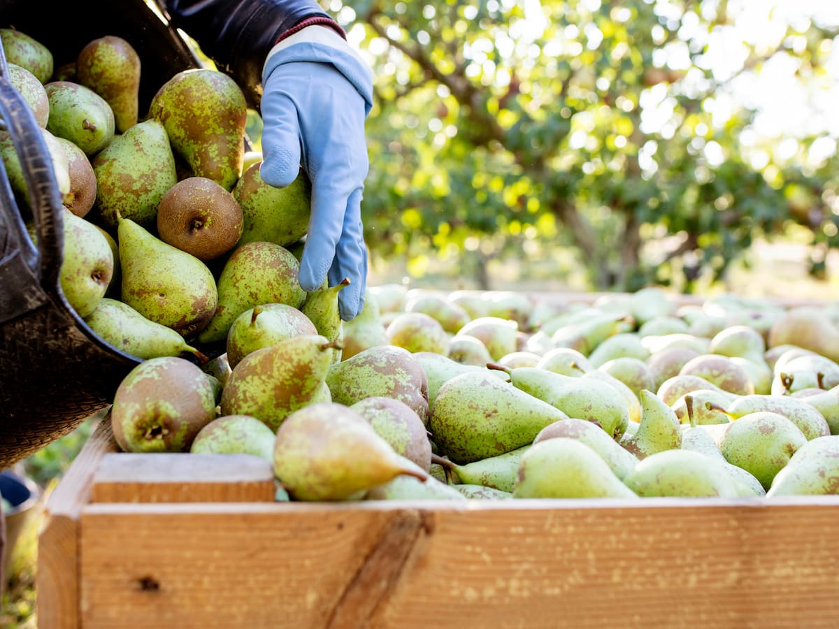 Las compras de Mercadona a proveedores riojanos superaron los 685 millones de euros en 2025