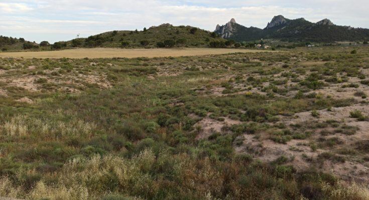 Imagen de la zona afectada