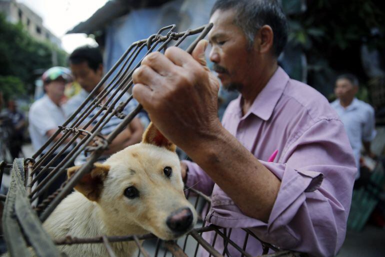 Un vendedor de perros en el mercado de Yulin.
