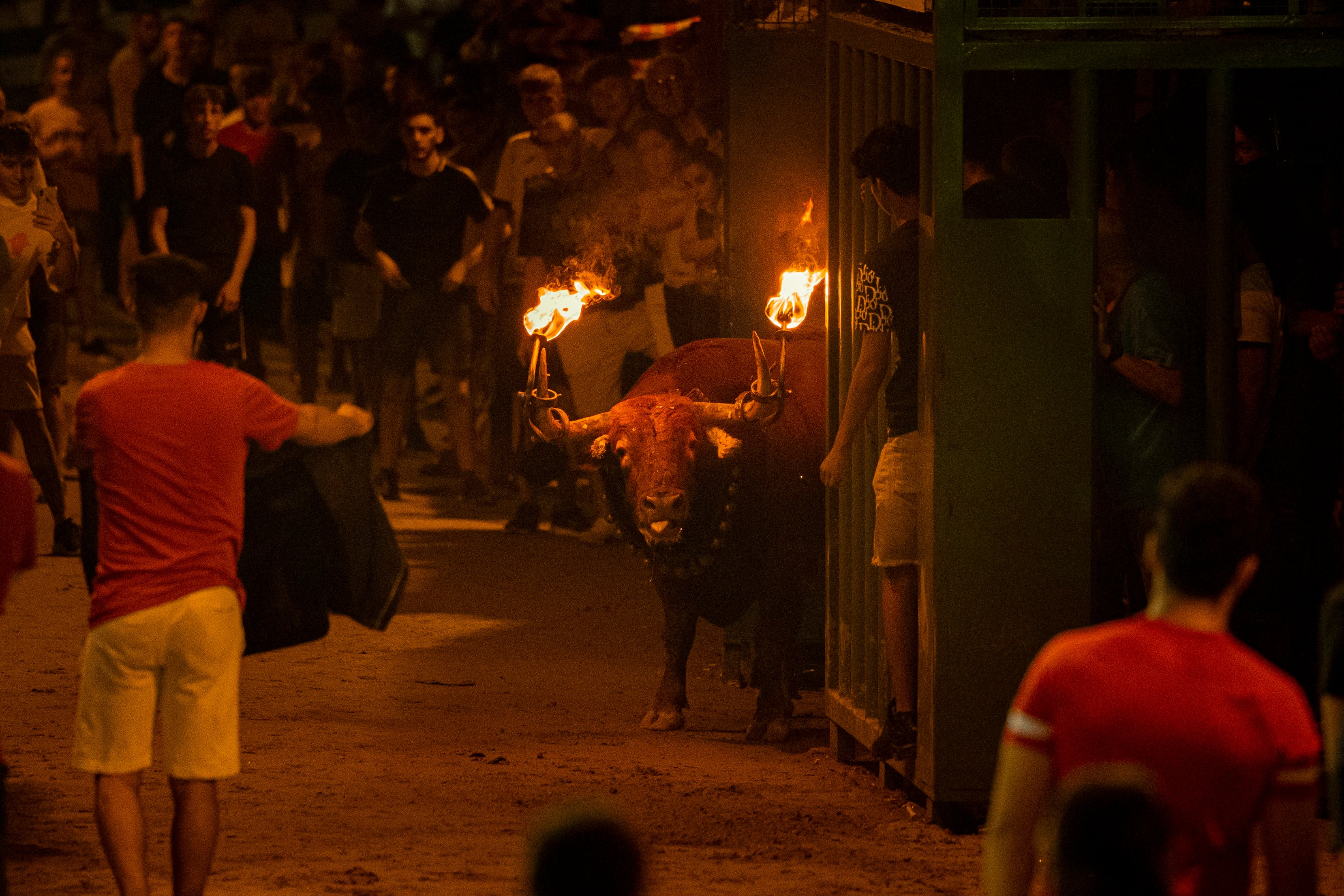 GRAFCVA7959. L&#039;ALCORA (CASTELLÓN), 01/09/2022.-Tras un año en el que han muerto siete personas en festejos taurinos en la Comunidad Valenciana, instituciones y partidos políticos debaten estos días sobre su seguridad.En la imagne, &quot;Bou Embolat&quot; en la localidad castellonense de L&#039;Alcora.EFE/ Biel Aliño
