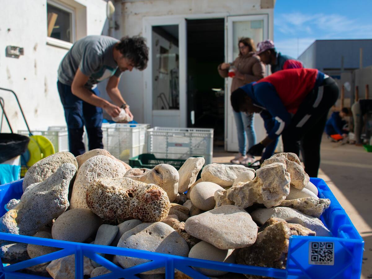L'aeroport requisa cada any més de 1.000 kilos de pedres que els turistes es volen endur de Menorca