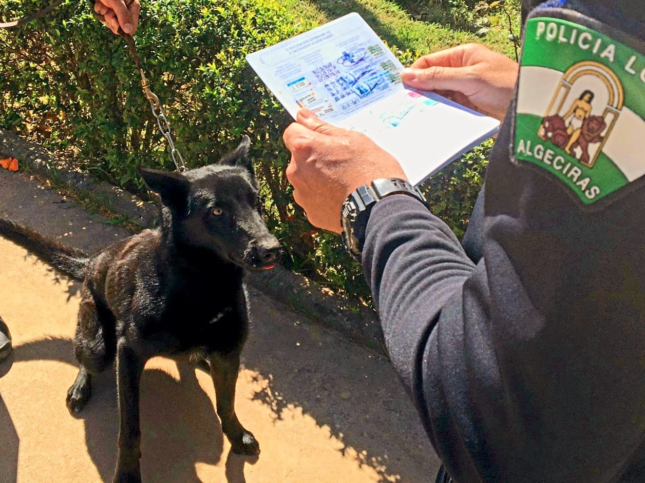 Agentes de Policía Local comprueban documentación de un perro