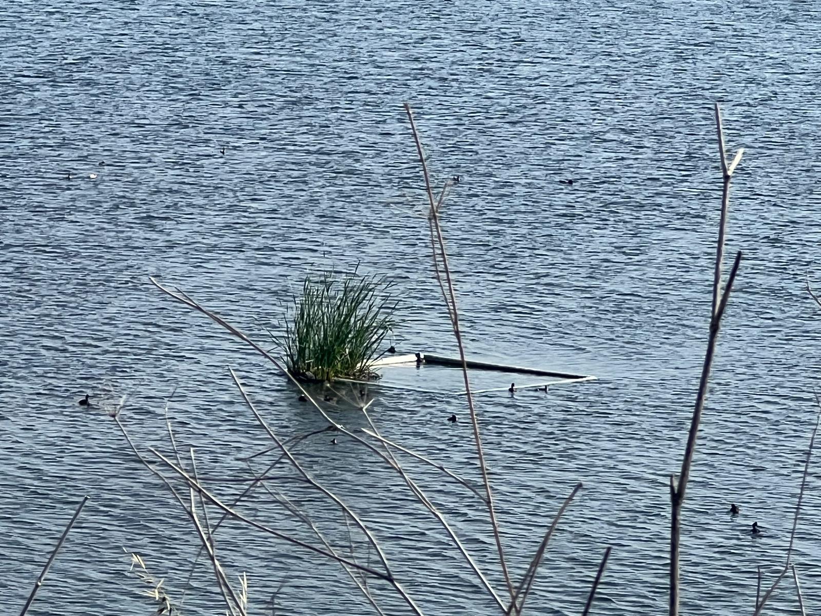 Una inversión de un millón de euros convierte el residuo en energía limpia dentro de la principal depuradora de Cartagena