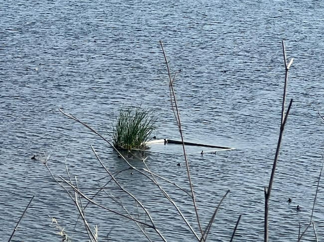 Una inversión de un millón de euros convierte el residuo en energía limpia dentro de la principal depuradora de Cartagena