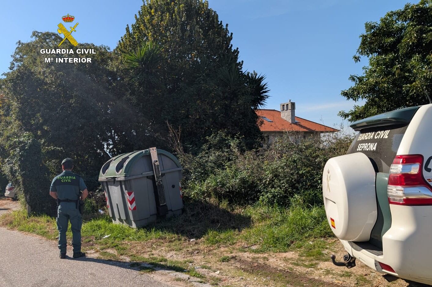 La Guardia Civil encontró a los felinos en un contenedor.