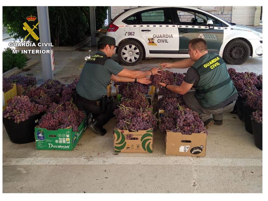 Guardia Civil con la uva decomisada