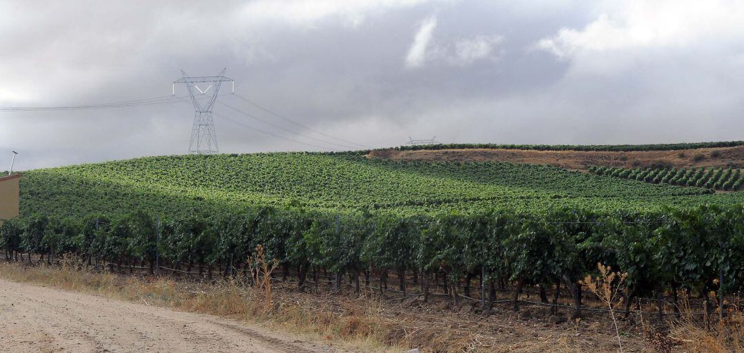 Los agricultores afrontan un futuro marcado por el cambio climático