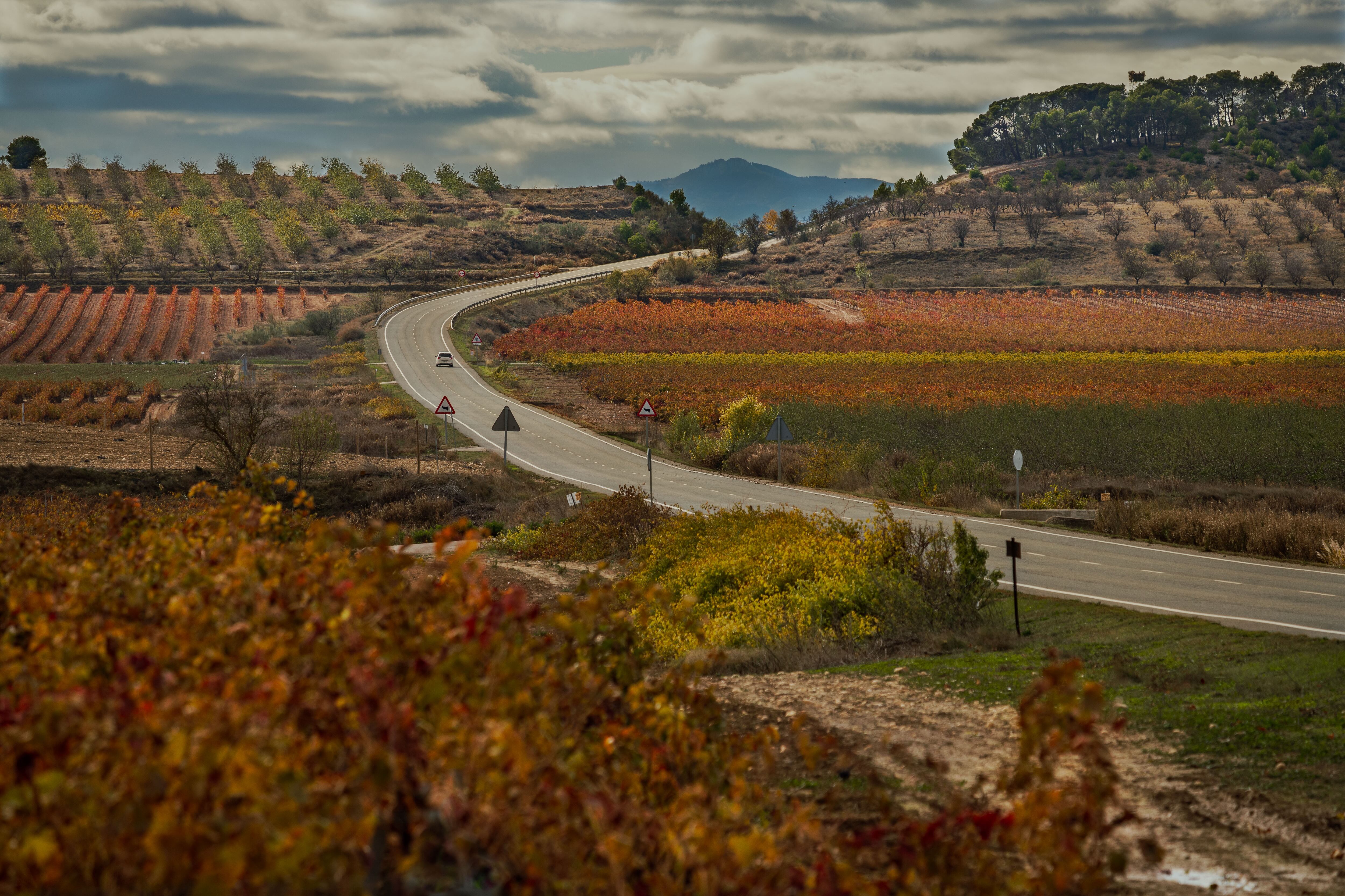 Carretera en La Rioja Baja