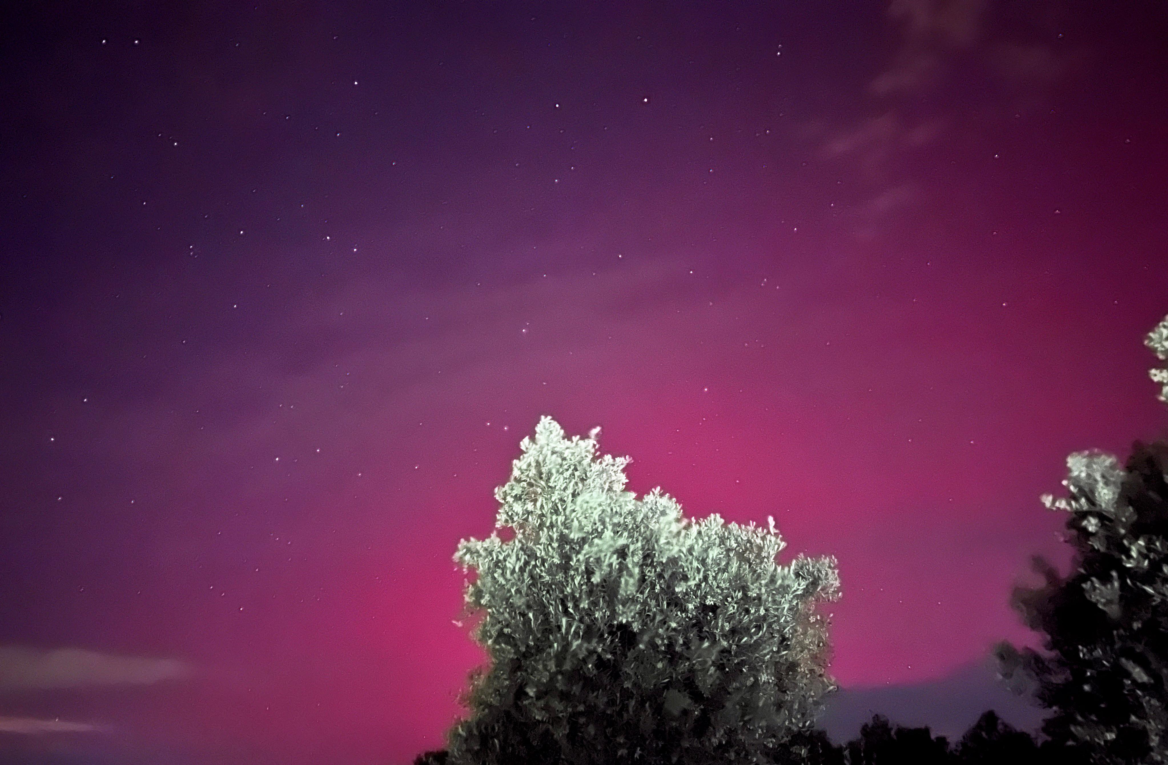 Aurora boreal observada desde un olivar de Villacarrillo, en Jaén.