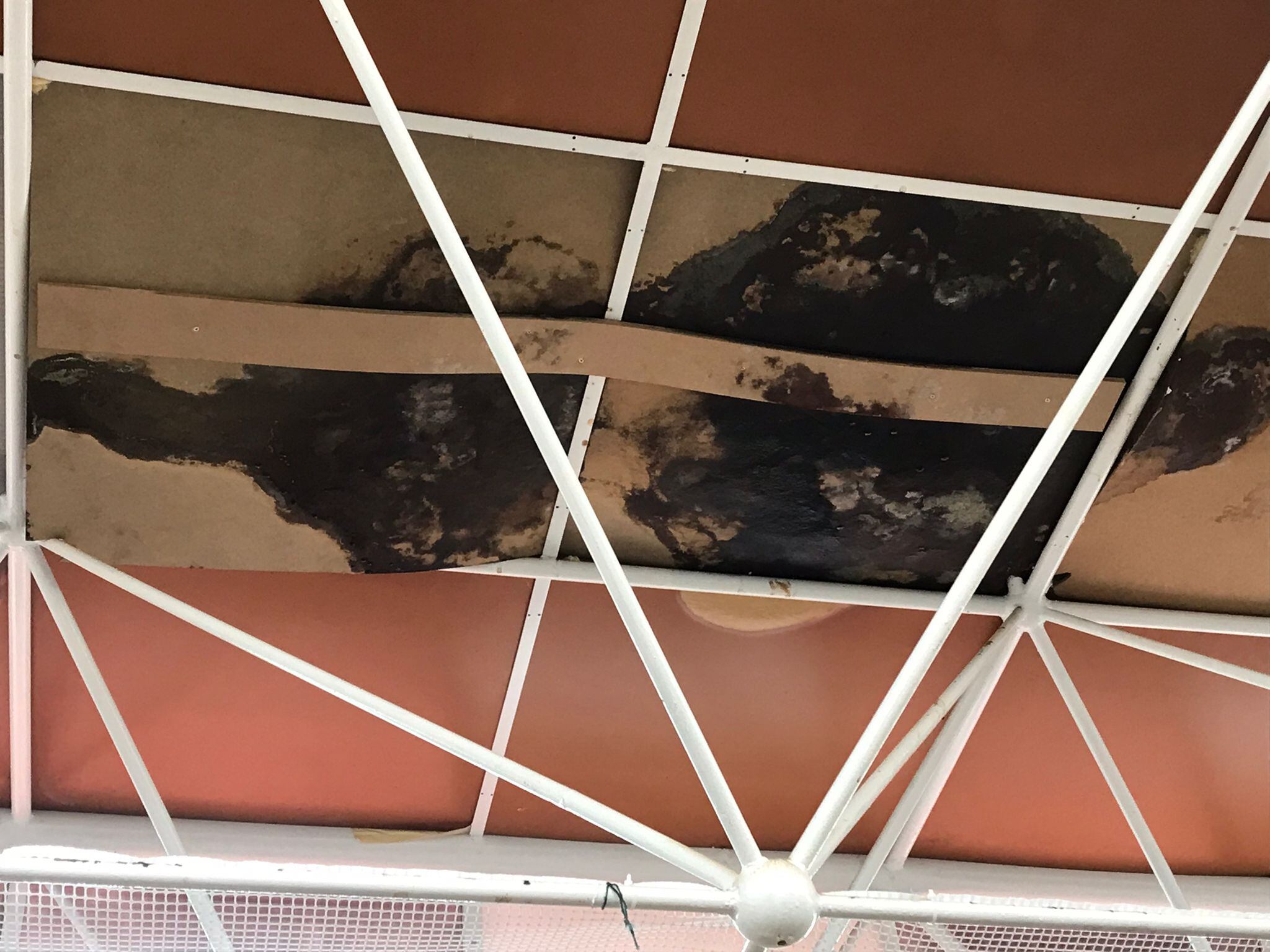 Techo del comedor de El Palmeral