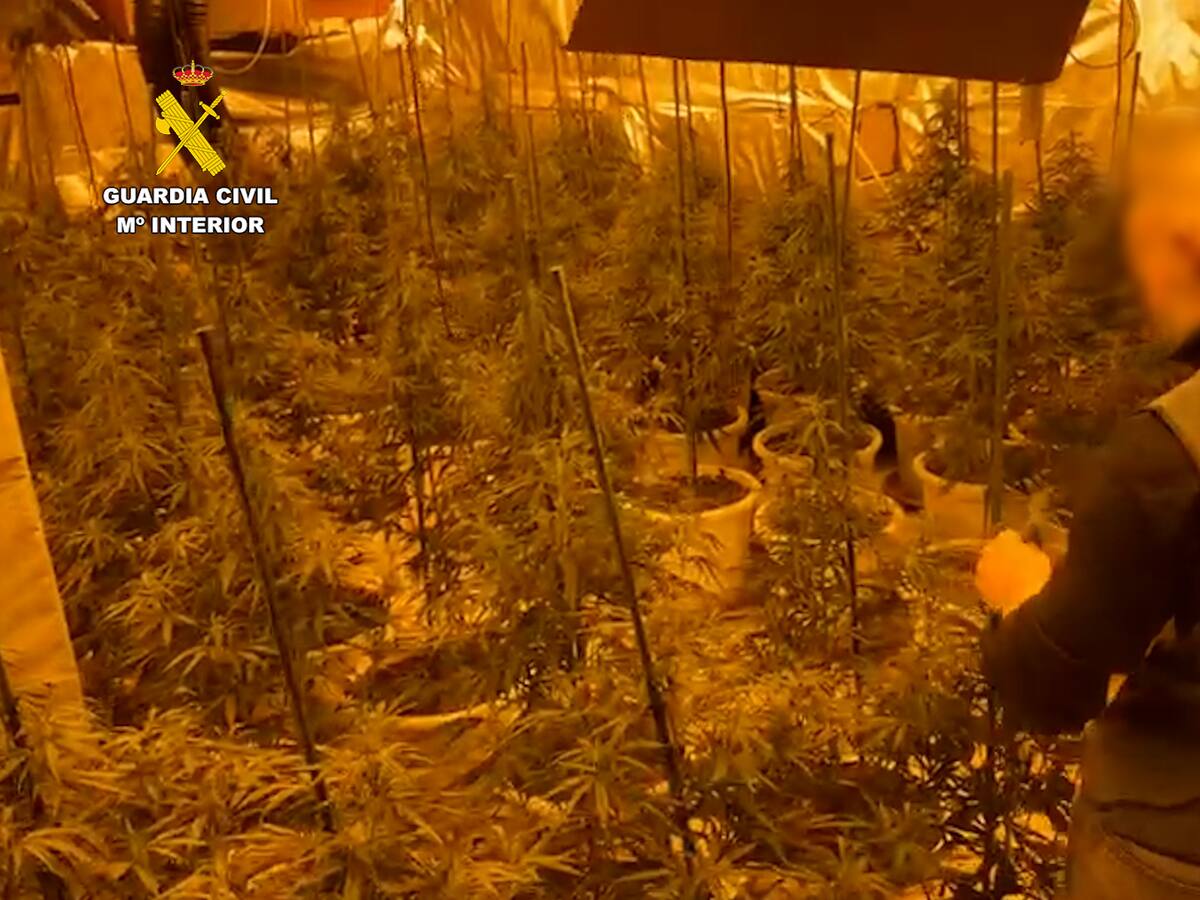 Registro en Torrella (La Costera) en una operación antidroga