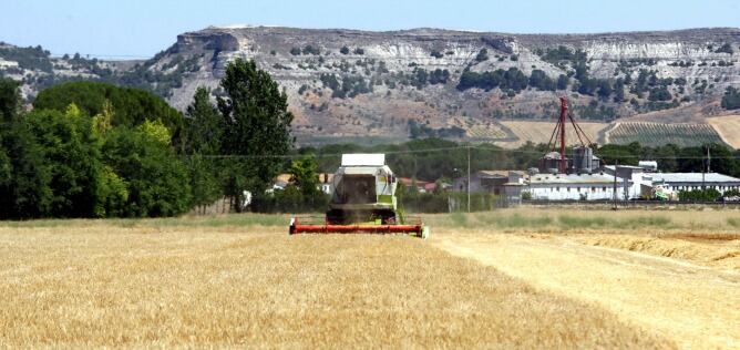 Imagen de una cosechadora en una finca de cereales