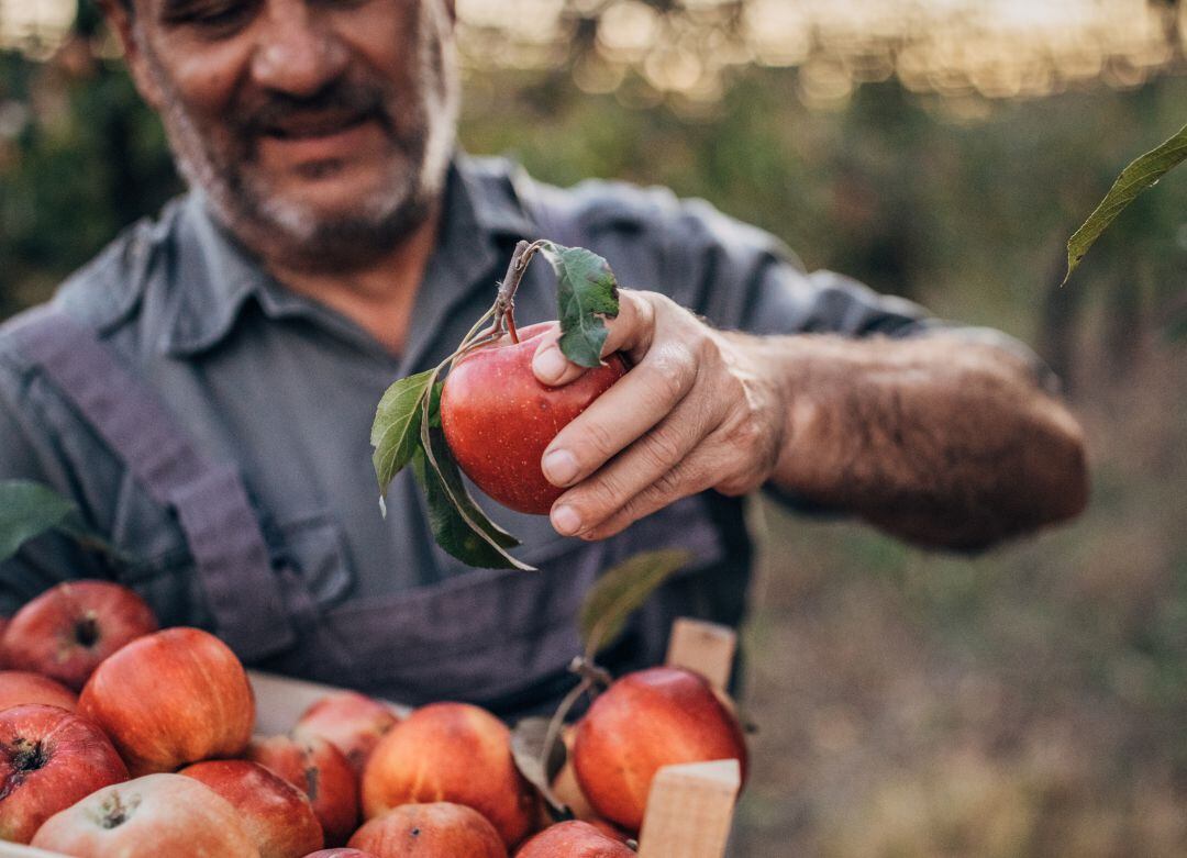 El paro solo baja en la Agricultura