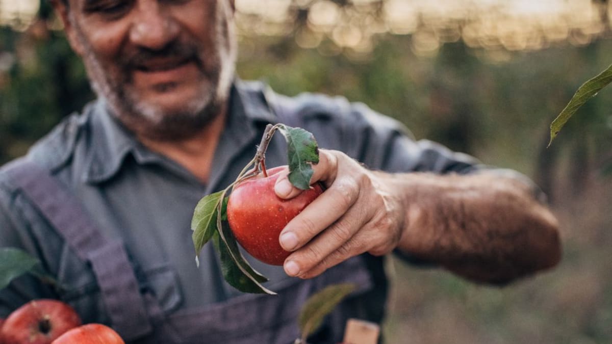 El paro solo baja en la Agricultura