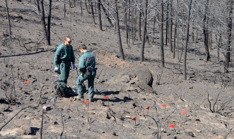 La Sierra de Gata después del incendio que calcinó más de 78.000 hectáreas. 